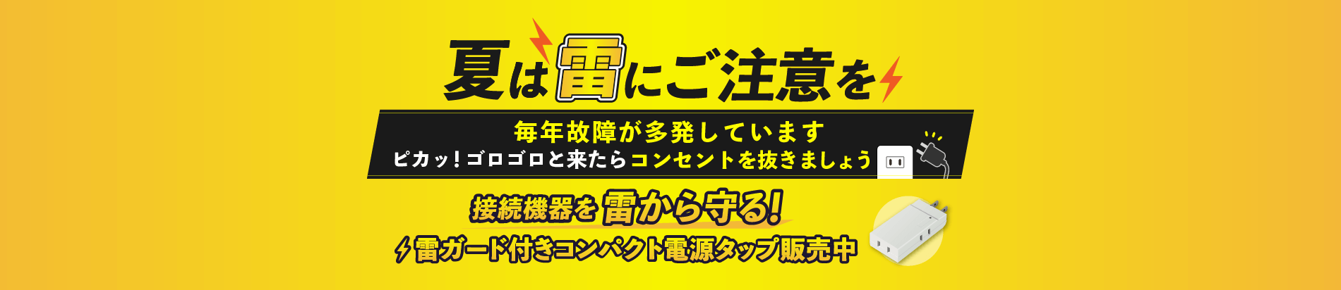 夏は雷にご注意を！
