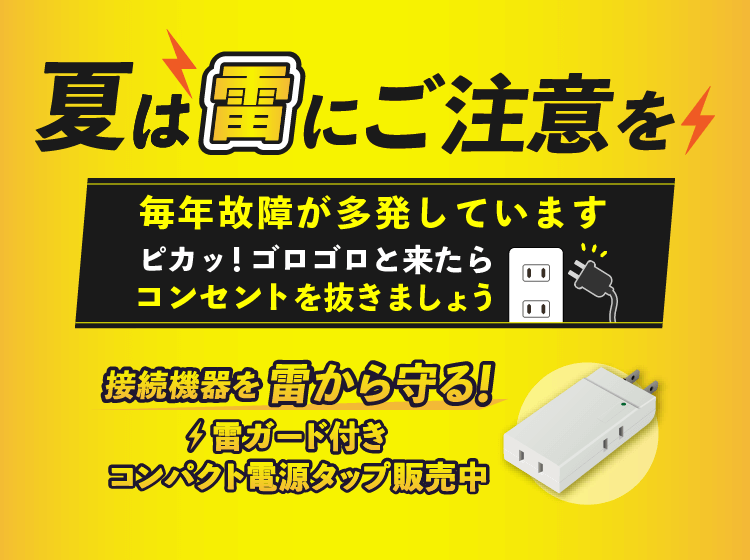 夏は雷にご注意を！