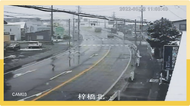 映像写真